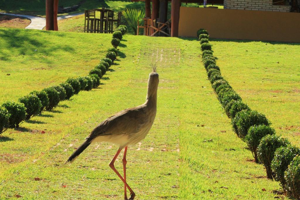 Pousada Boyra Bonito  Exterior foto